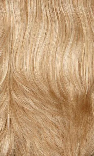 26H - Lt Gold Blonde/Lt Blnd Htls